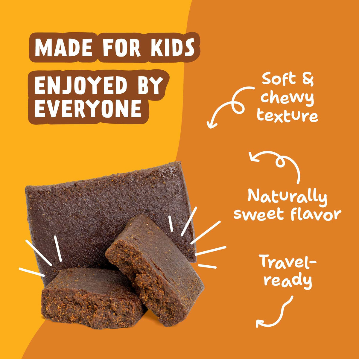 Skout Organic - Skout Organic Chocolate Peanut Butter Kids Snack Bar