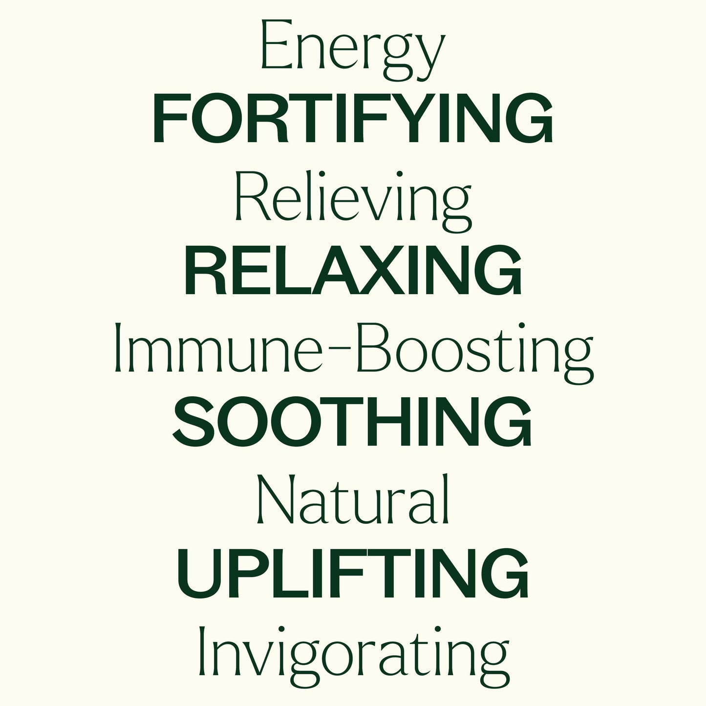 Plant Therapy - Top 6 Essential Oil Blends Set