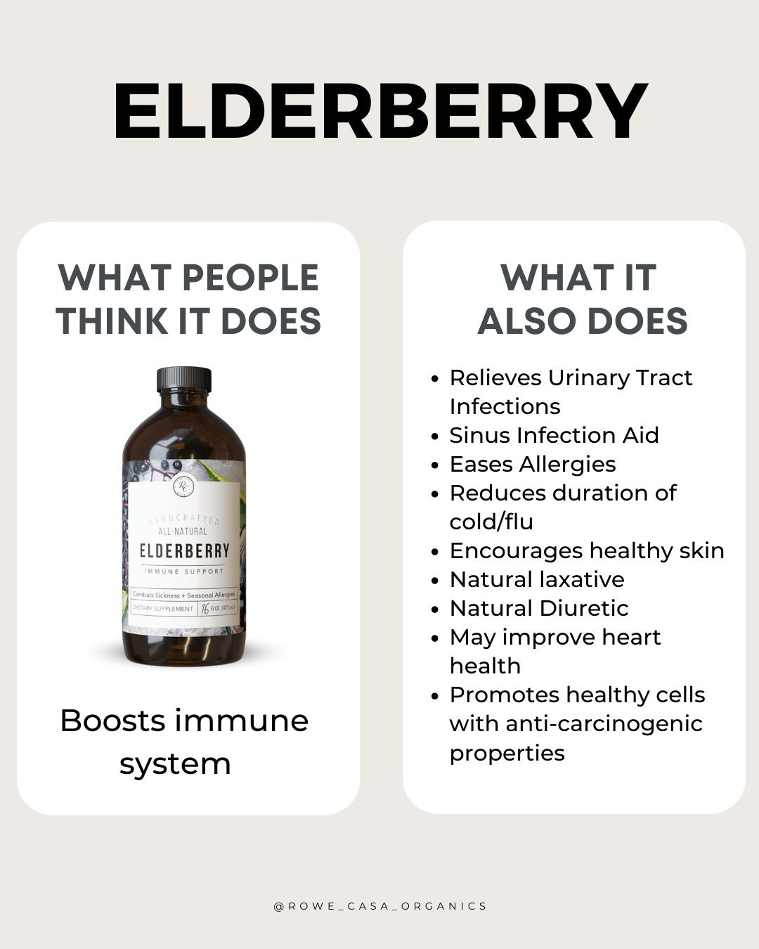 ELDERBERRY IMMUNE SUPPORT | 16 oz