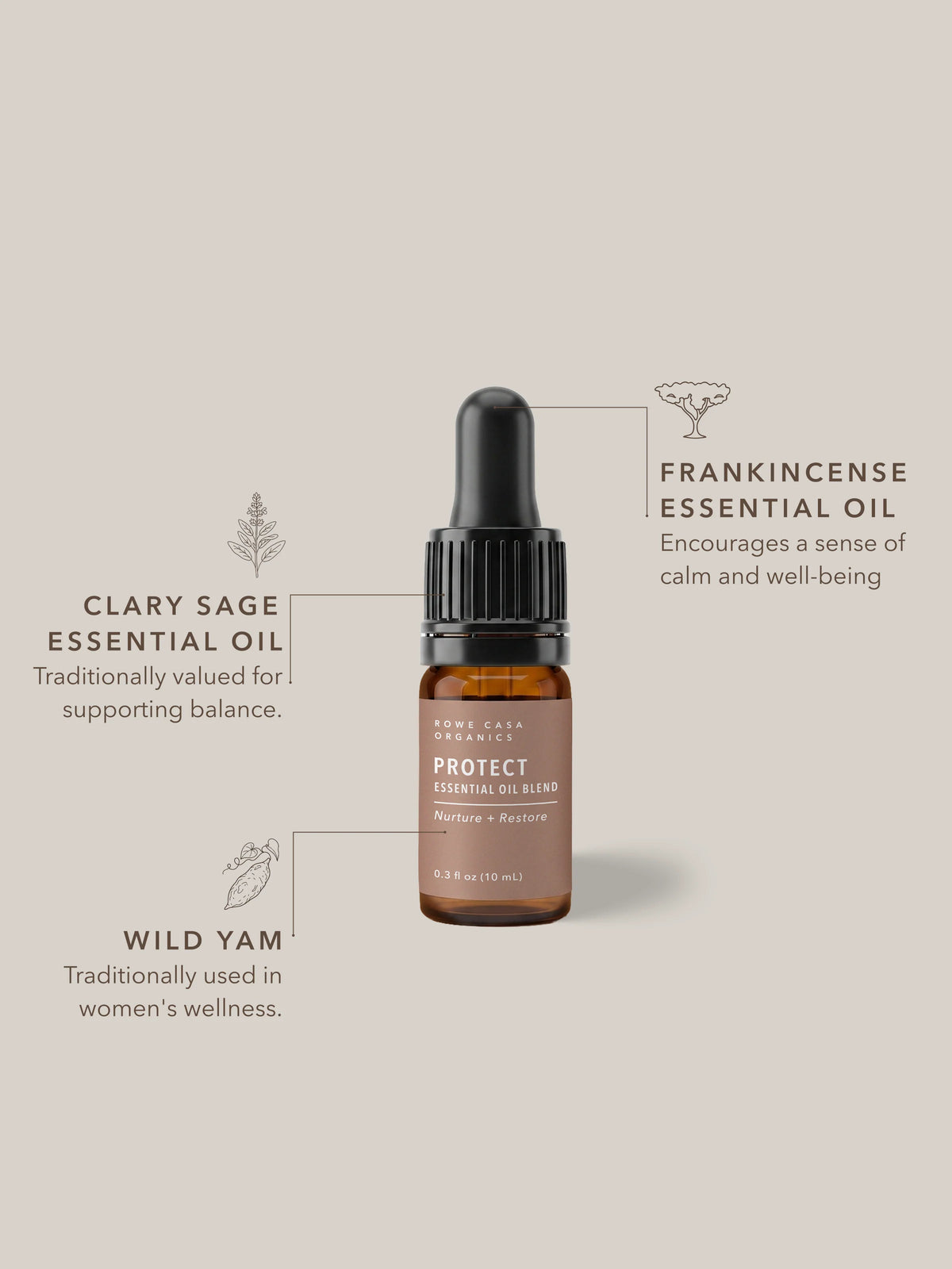 Protect Essential Oil Blend | 10 ml