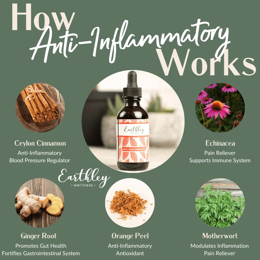 Anti Inflammatory