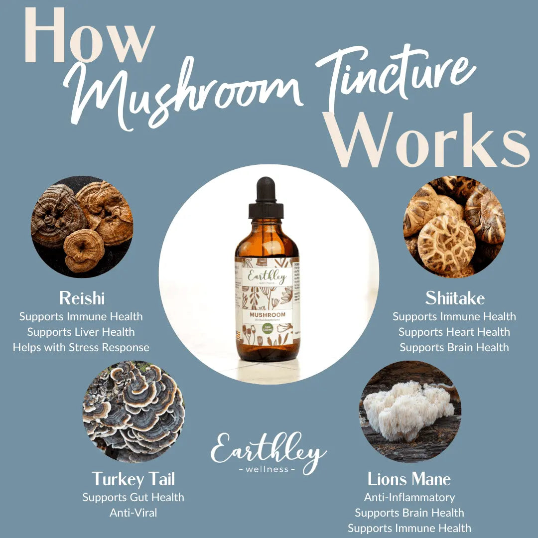 Mushroom Tincture