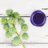 Ozonated Castor Oil