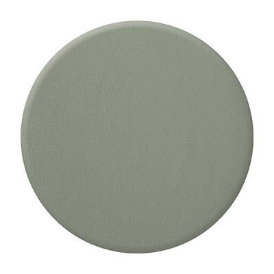 Zoya, Qtica, Smart Spa - Zoya Nail Polish Sage