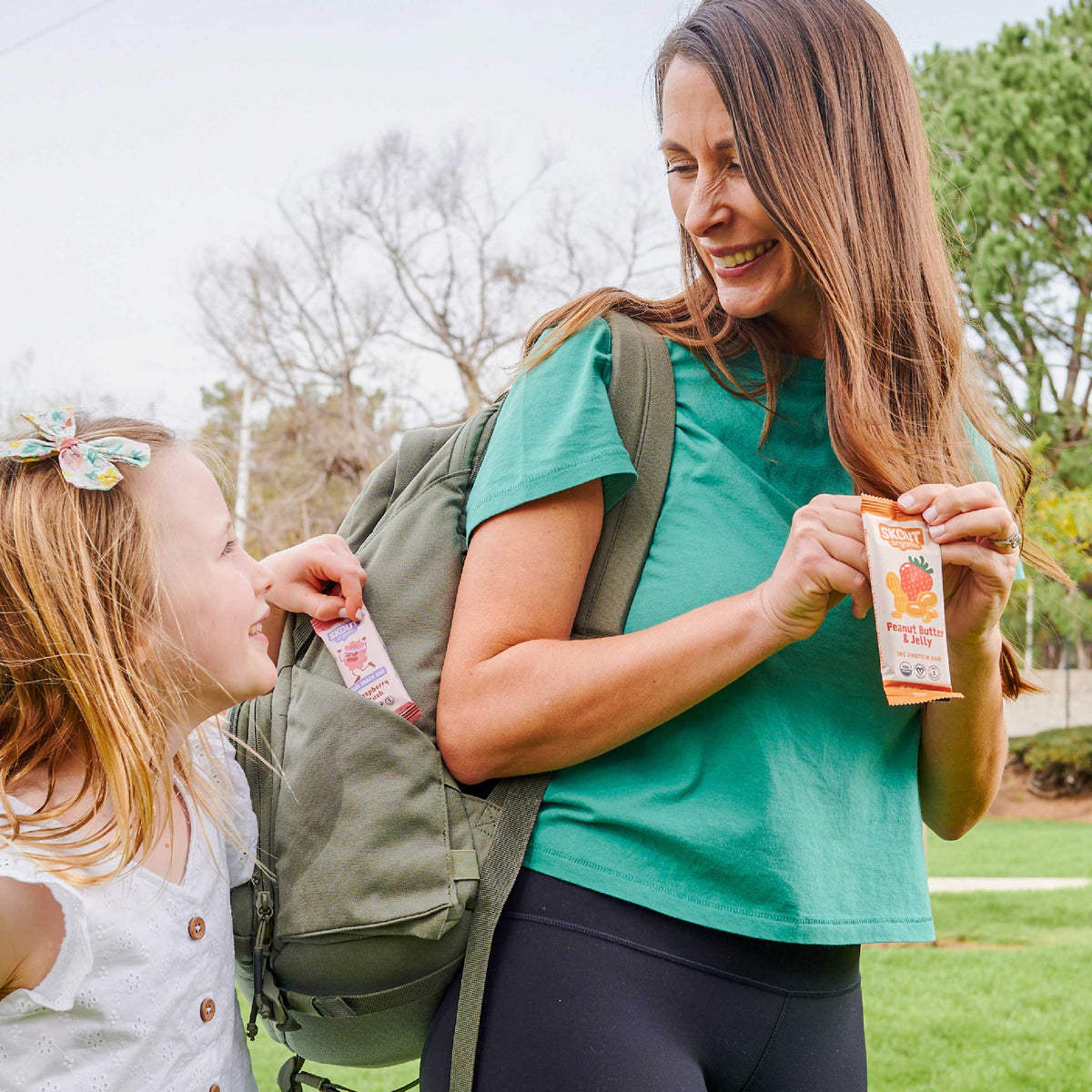 Skout Organic - Skout Organic Peanut Butter & Jelly Protein Bar | Vegan