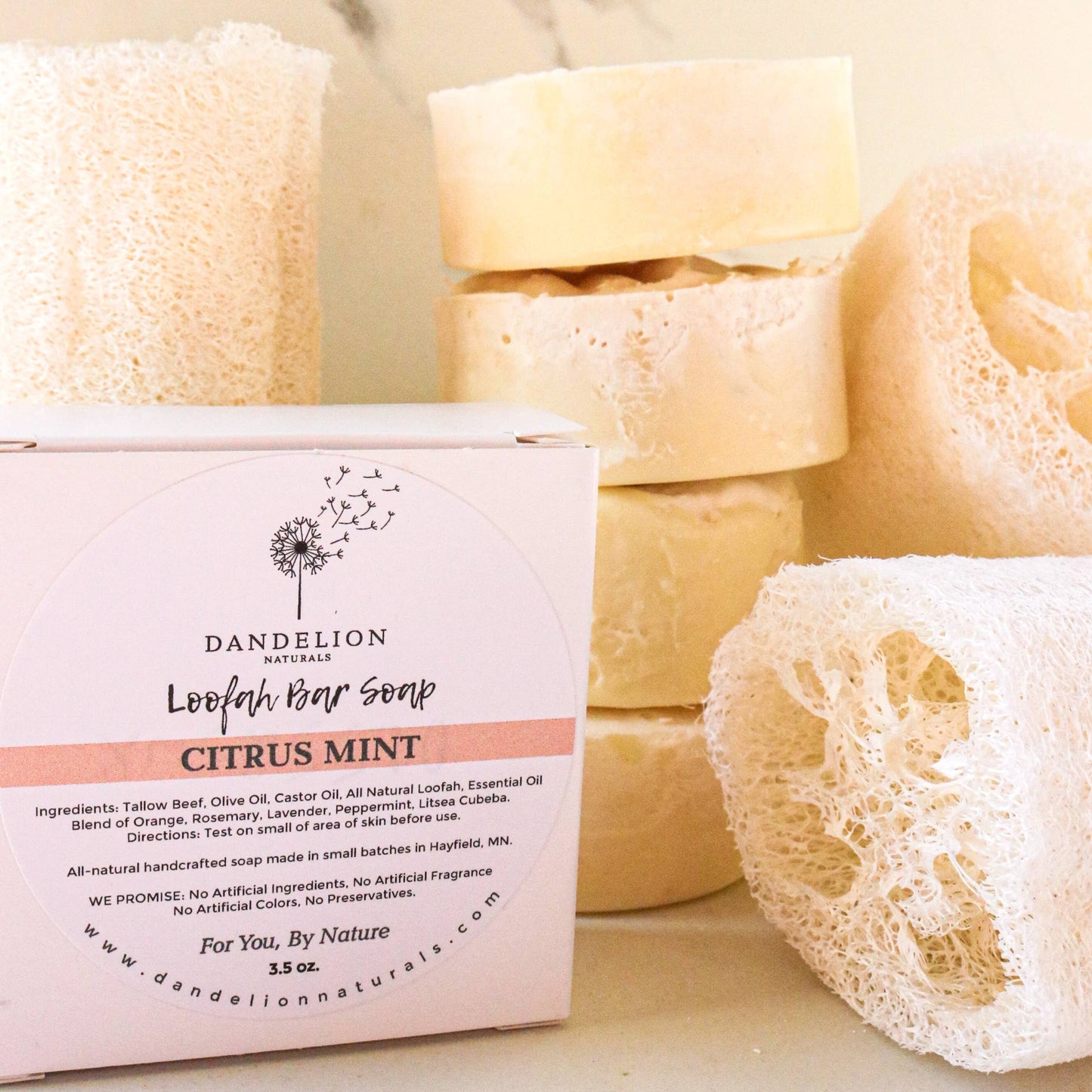 Dandelion Naturals - Exfoliating Tallow Bar Soap with Loofah | Citrus + Mint