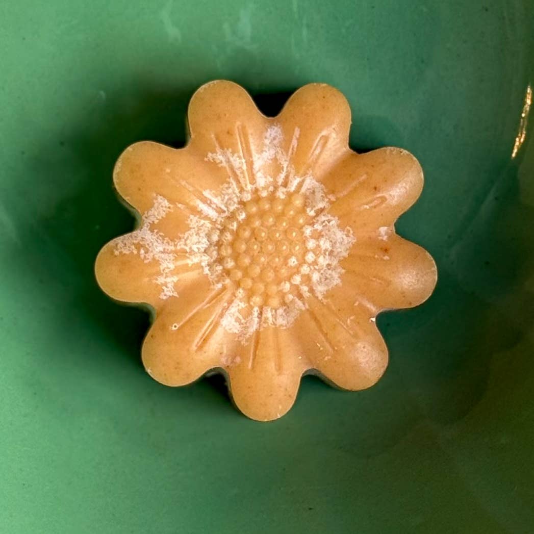 Dandelion Naturals - Honey Turmeric Tallow Face Bar Soap & Frankincense Face Wash