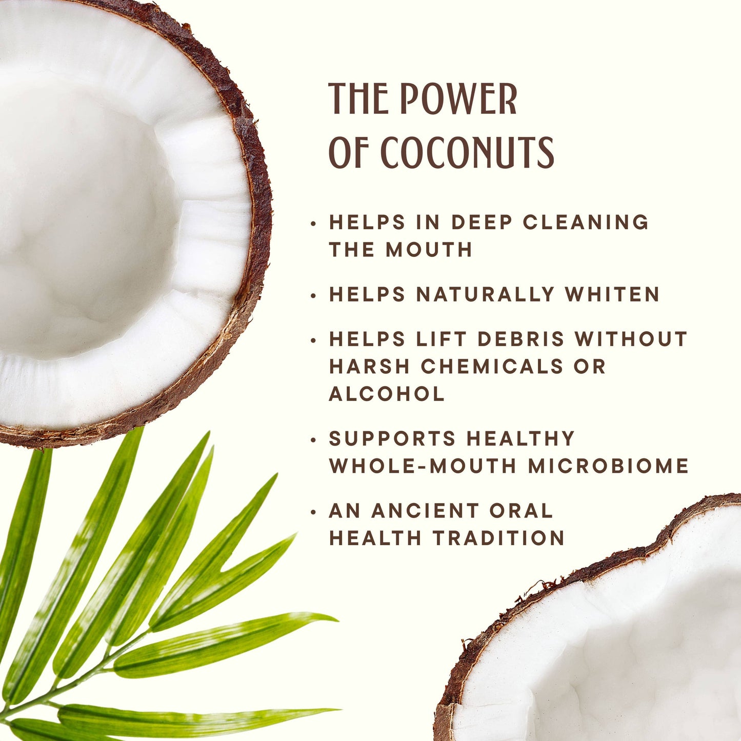 Dr. Ginger's | Coconut Powered Oral Care - Toothpaste Tablets | Coconut Powered | Eco & Travel Friendly