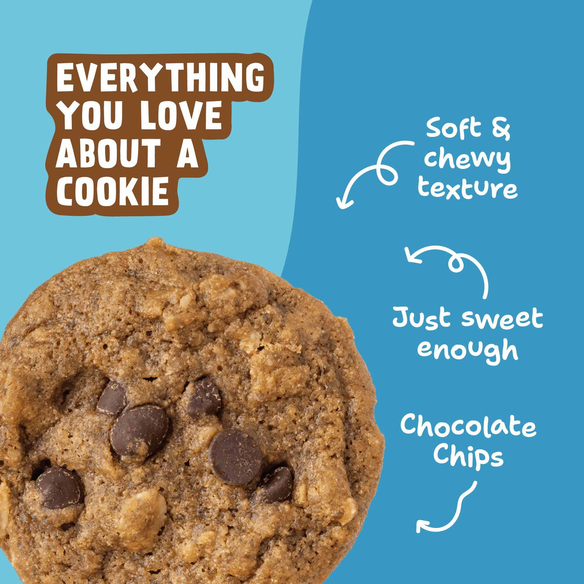 Skout Organic - Skout Organic Oatmeal Chocolate Chip Soft Baked Cookies