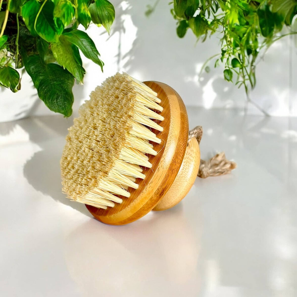 Bamboo Switch - Bamboo Body Dry Brush