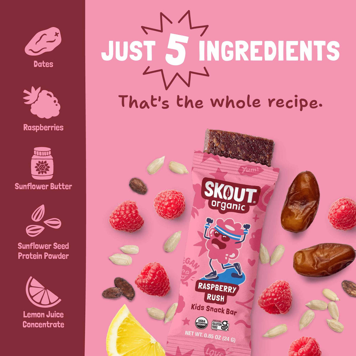 Skout Organic - Skout Organic Raspberry Rush Kids Snack Bar | Nut-Free