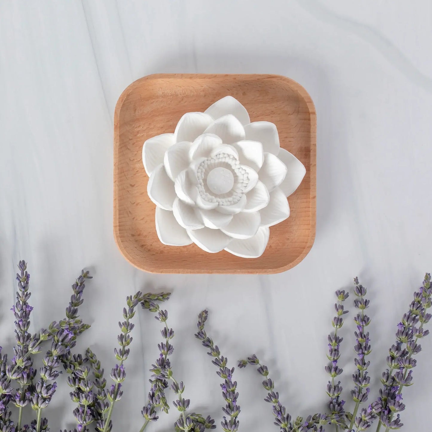 Plant Therapy - Lotus Passive Essential Oil Diffuser