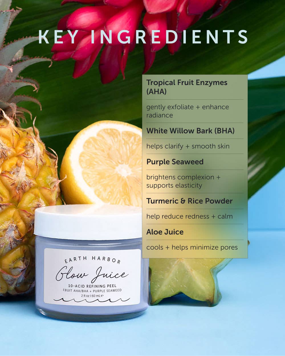 Earth Harbor Naturals - GLOW JUICE 10-Acid Refining Peel: Fruit AHA/BHA