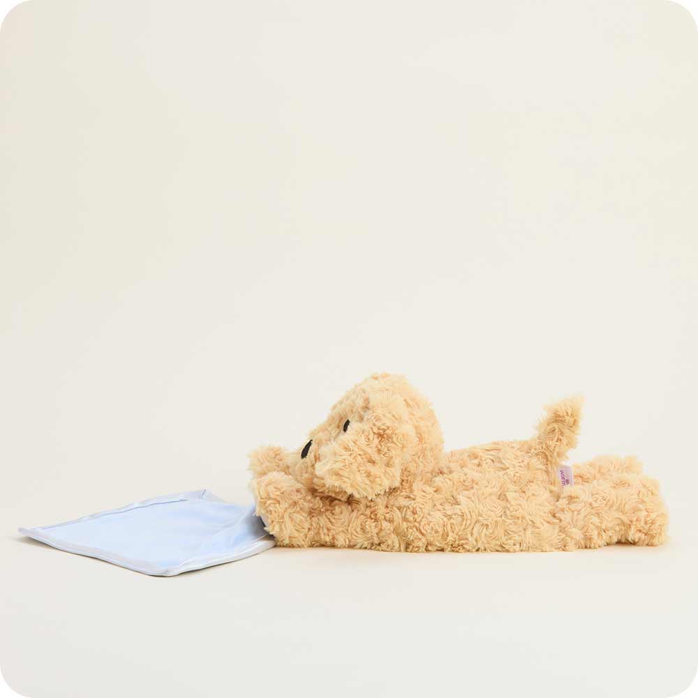 Warmies - Lavender Scented Plush - Gifts - Golden Dog Blanket Warmies