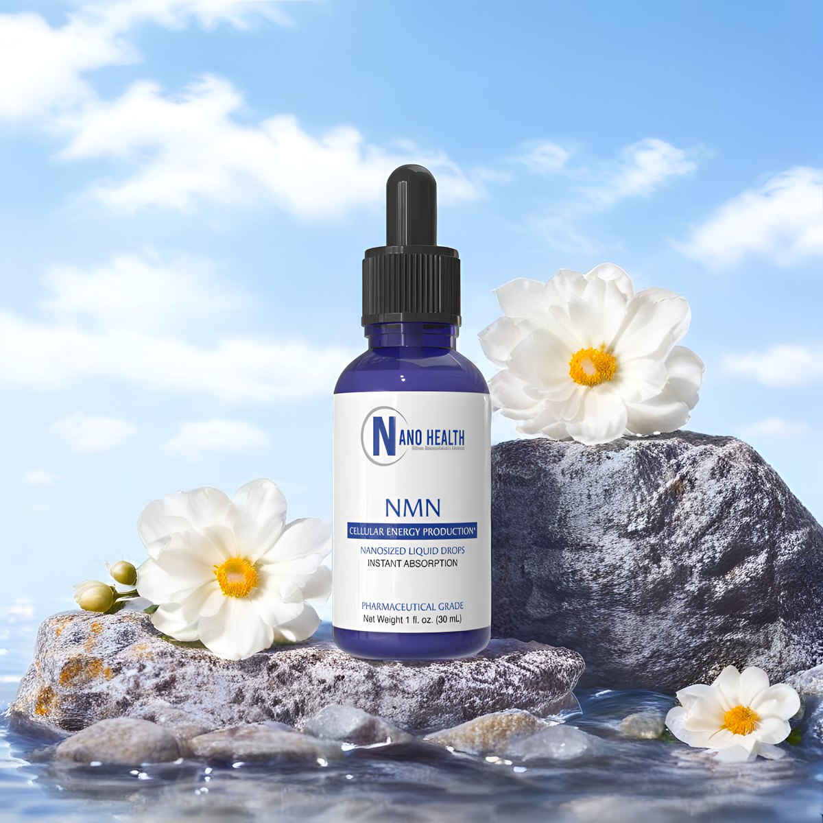 Nanoceutical Solutions - Nano NMN