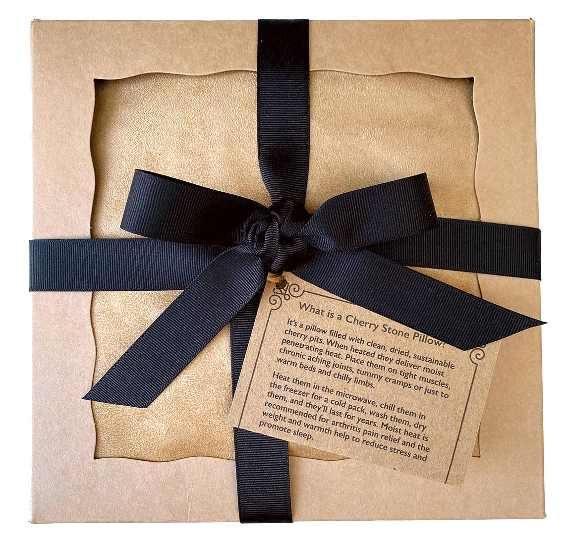 Hot Cherry Pillows - Large Rectangle Tan Ultra-suede in Pie Box