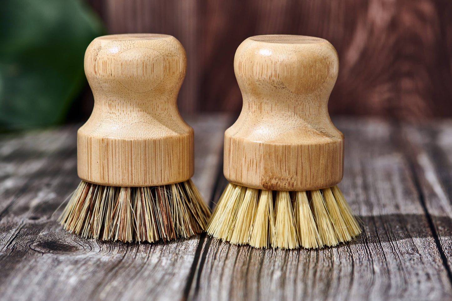 Desesh - Bamboo Handle-less Dish Scrubbing Brush (Plastic Free)