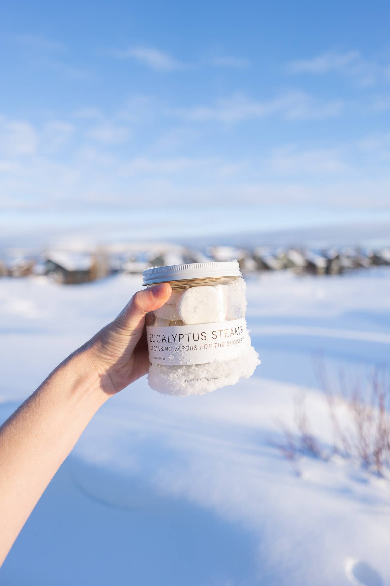 No Tox Life - EUCALYPTUS STEAM® Cleansing Vapors for the Shower® GRANDE