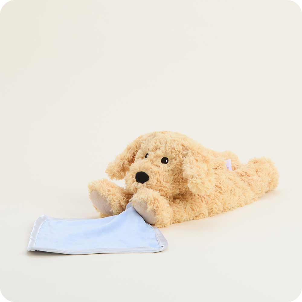 Warmies - Lavender Scented Plush - Gifts - Golden Dog Blanket Warmies