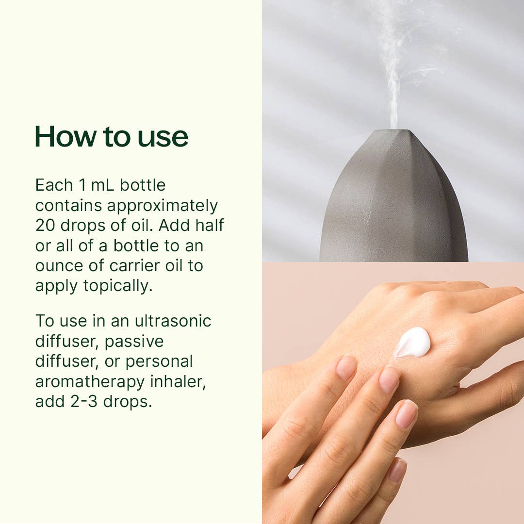 Plant Therapy - Aroma Flight Essential Oil 10 Count Set