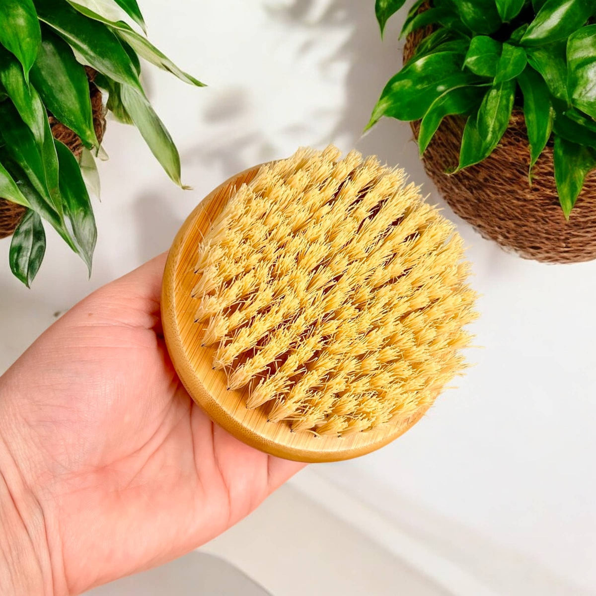 Bamboo Switch - Bamboo Body Dry Brush
