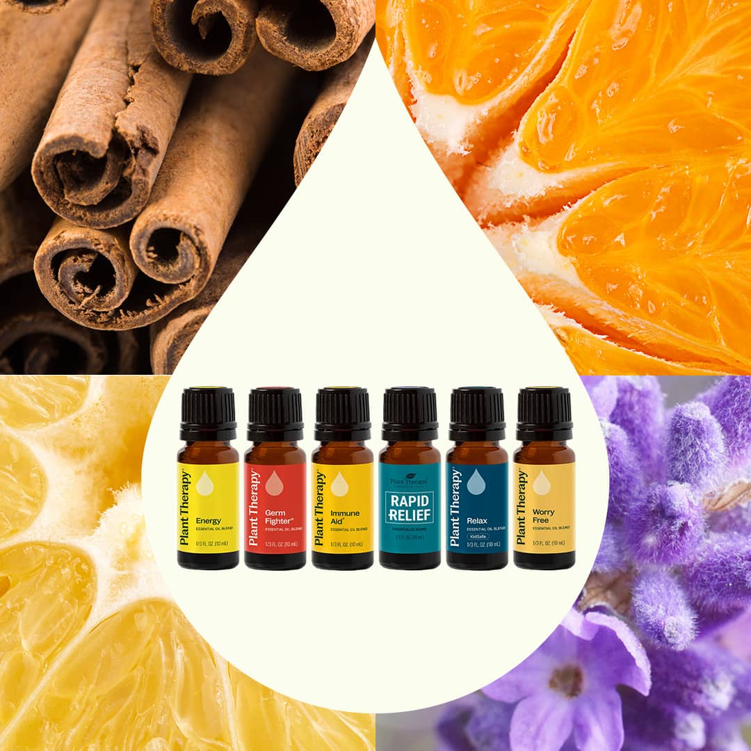 Plant Therapy - Top 6 Essential Oil Blends Set