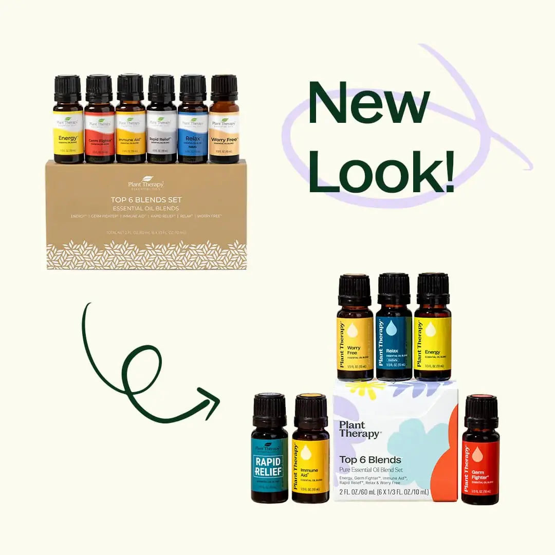 Plant Therapy - Top 6 Essential Oil Blends Set