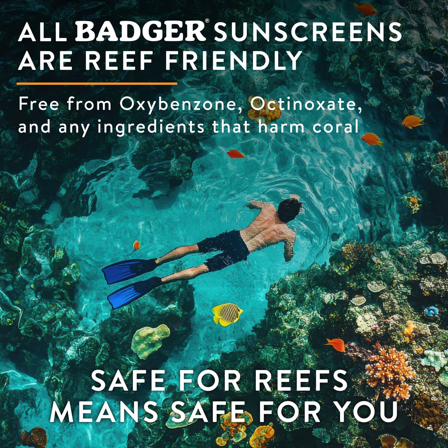 Badger - Badger Mineral Sunscreen Lip Balm SPF 15, Zinc Oxide 18ct