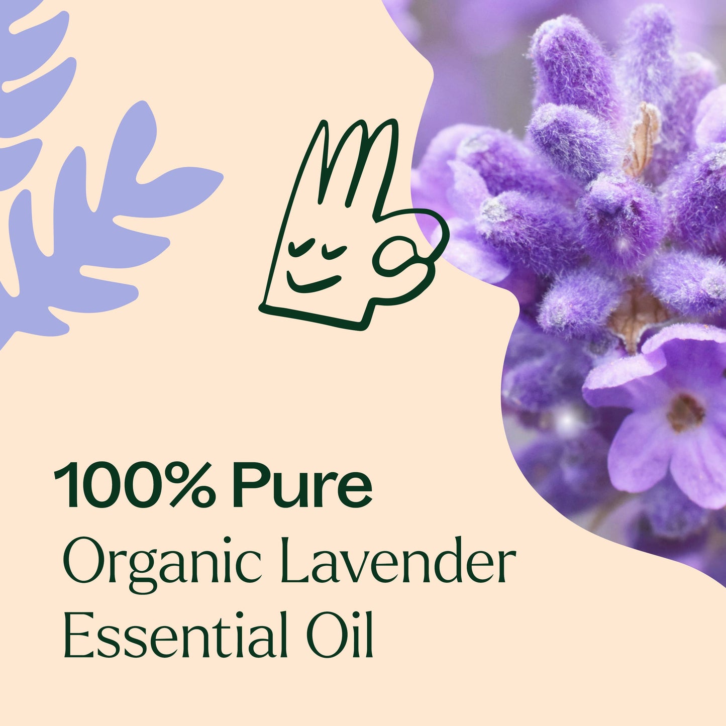 Plant Therapy - Organic Lavender Essential Oil 100mL