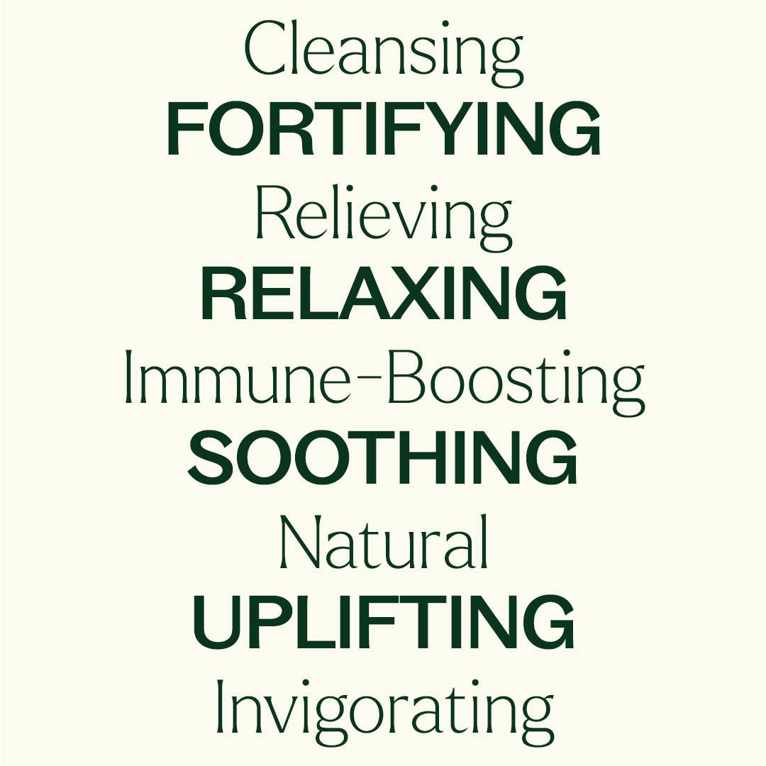 Plant Therapy - Aroma Flight Essential Oil 10 Count Set