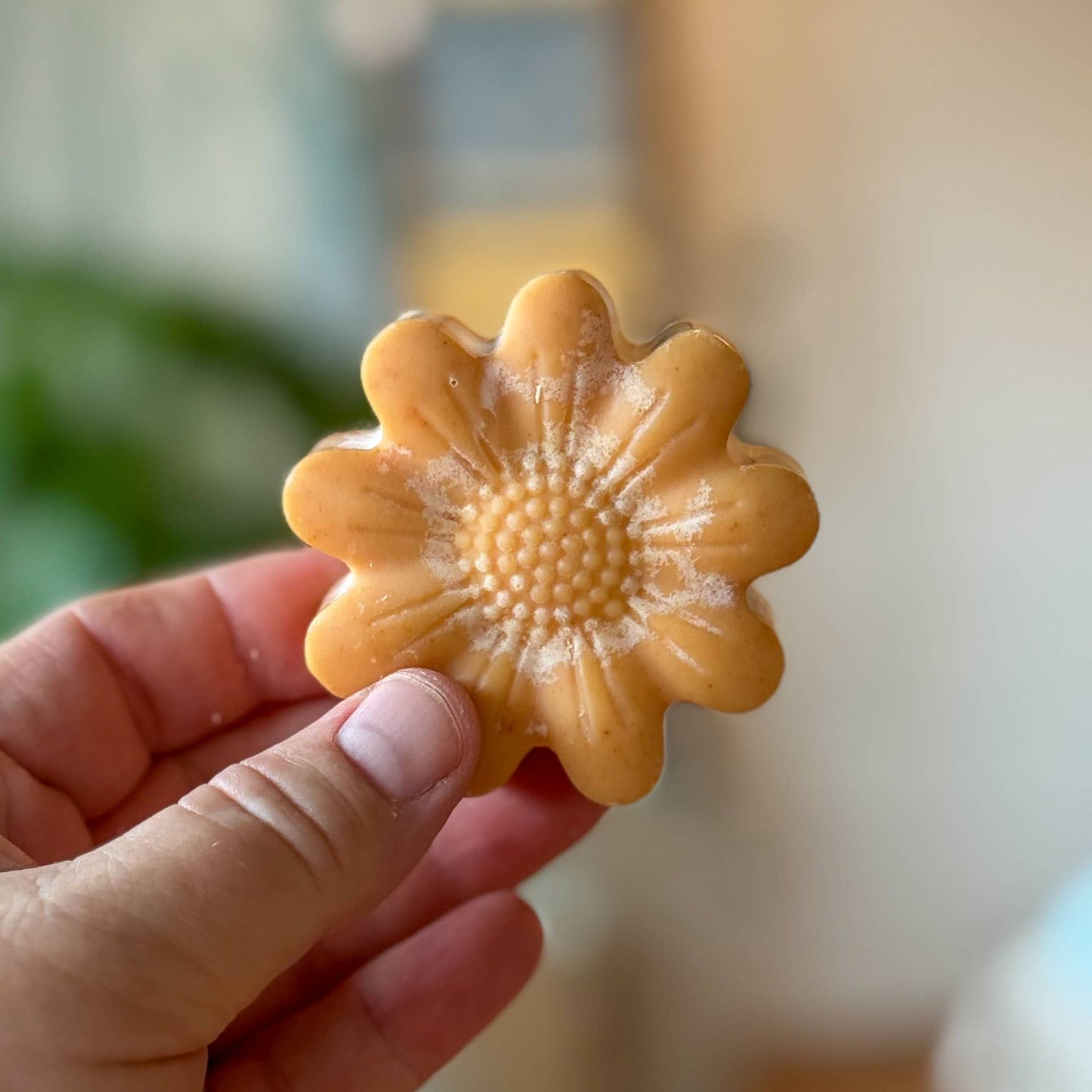 Dandelion Naturals - Honey Turmeric Tallow Face Bar Soap & Frankincense Face Wash
