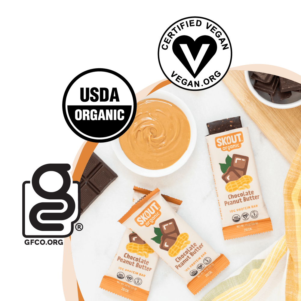 Skout Organic - Skout Organic Chocolate Peanut Butter Protein Bar | Vegan