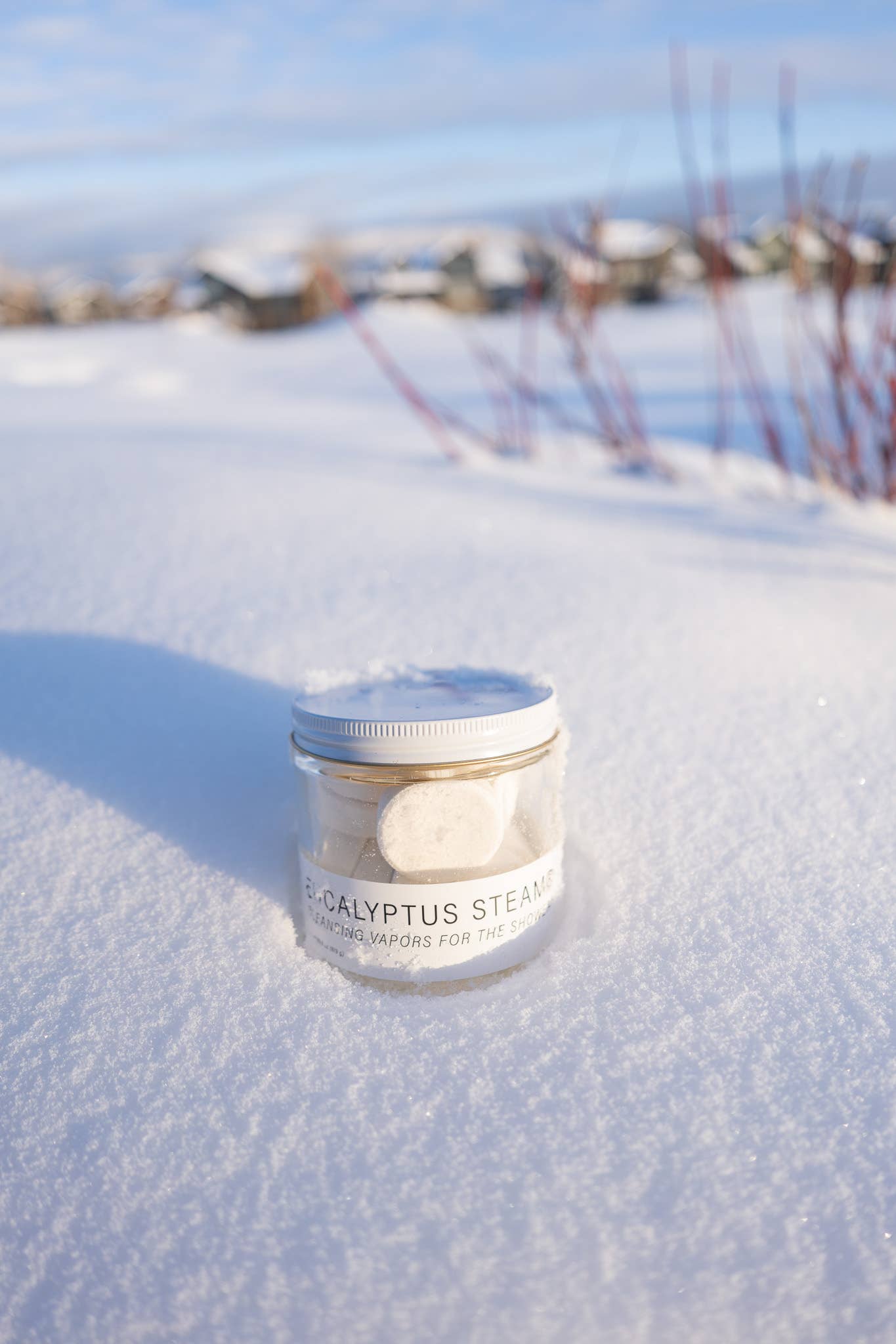 No Tox Life - EUCALYPTUS STEAM® Cleansing Vapors for the Shower® GRANDE
