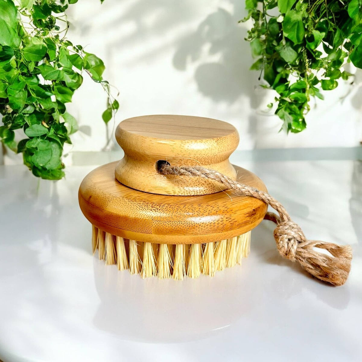 Bamboo Switch - Bamboo Body Dry Brush