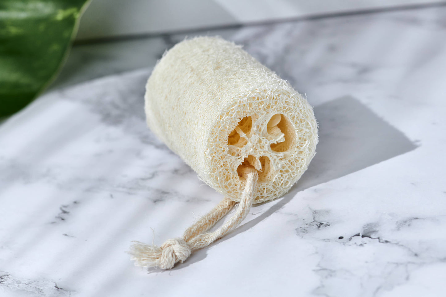 Desesh - Natural Loofah Exfoliating Slices (Plastic Free, Unpackaged)