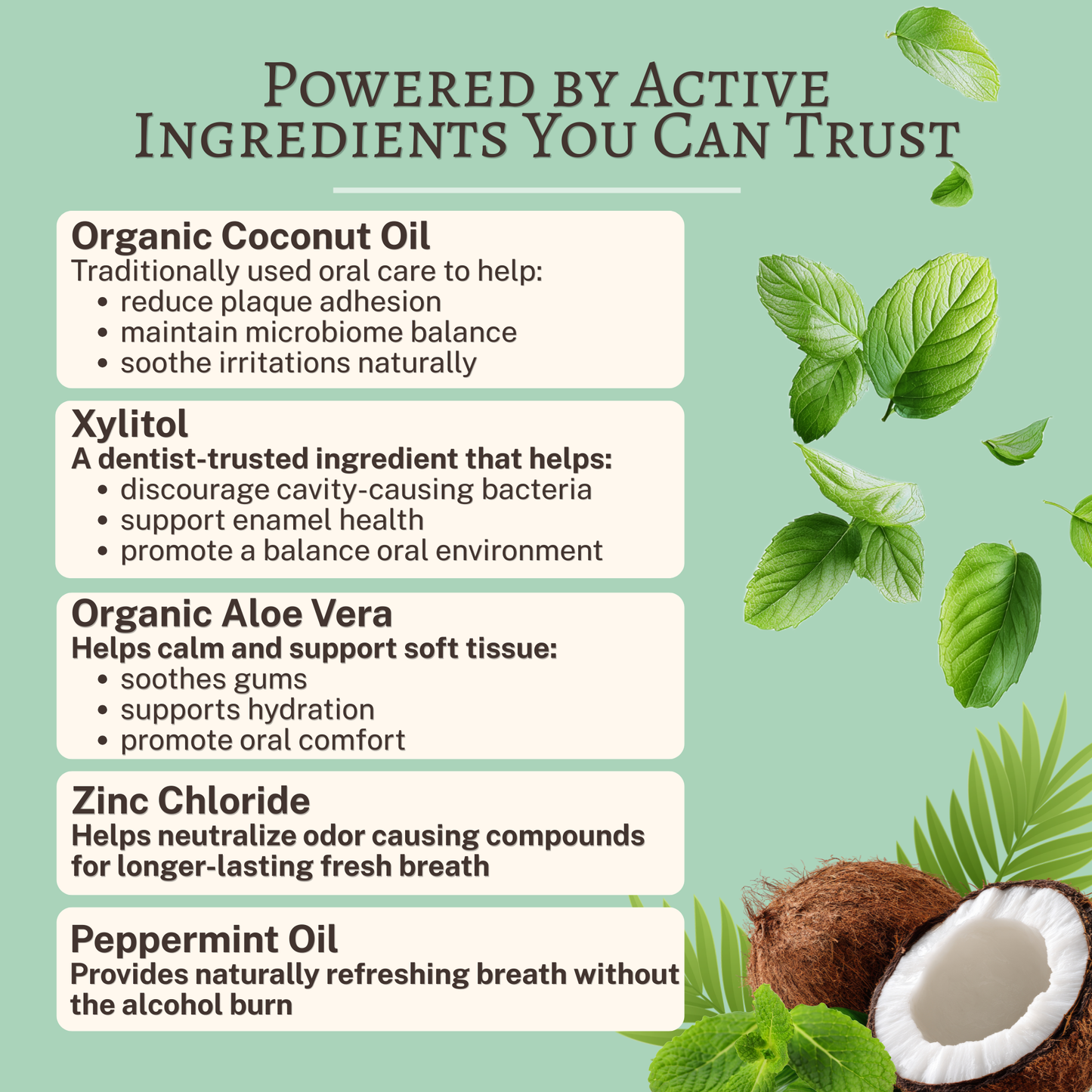 Dr. Gingers - Coconut Oil Mouthwash | Fluoride-Free Oil Pulling Mouthwash