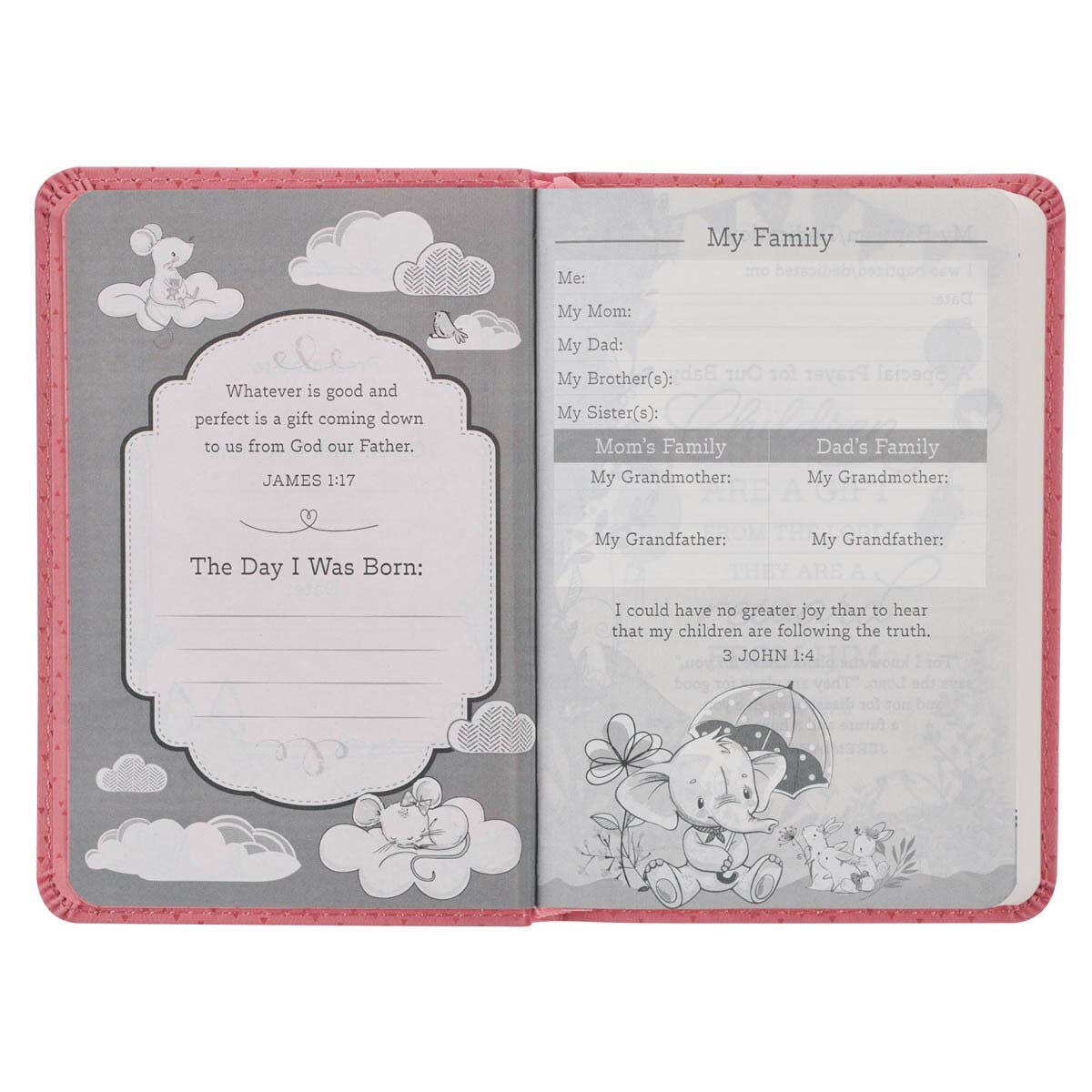 Christian Art Gifts - Bible NLT Infant New Testament Faux leather, Pink