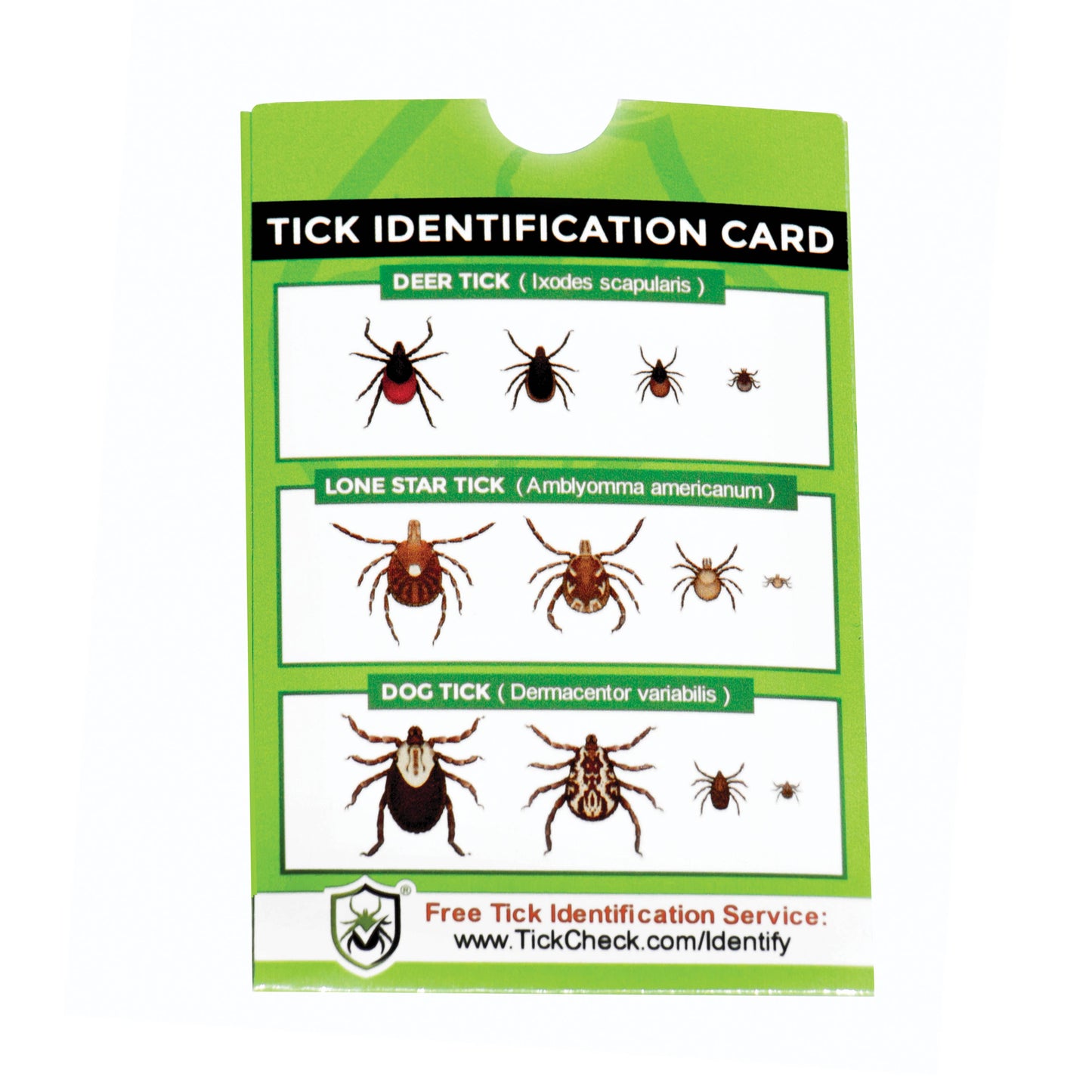 TickCheck Tick Remover Card