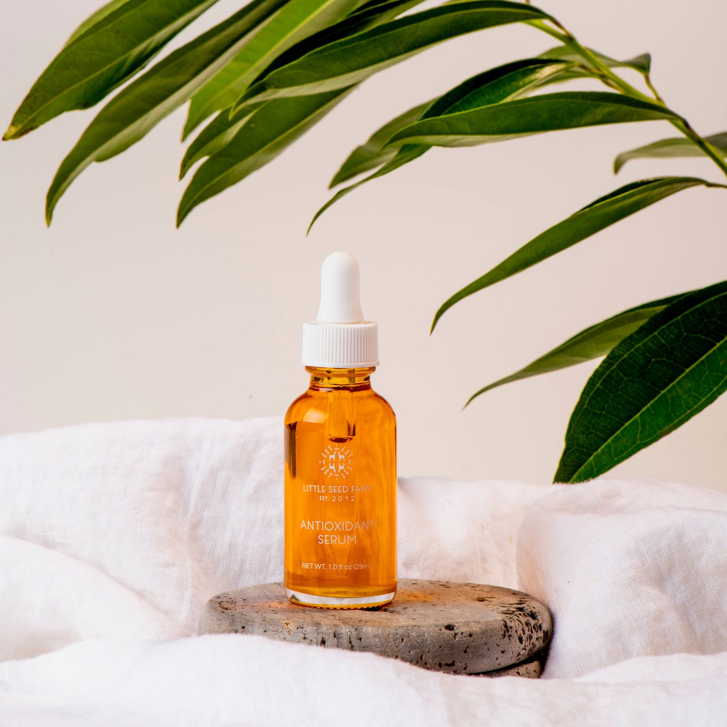 Little Seed Farm - Antioxidant Serum