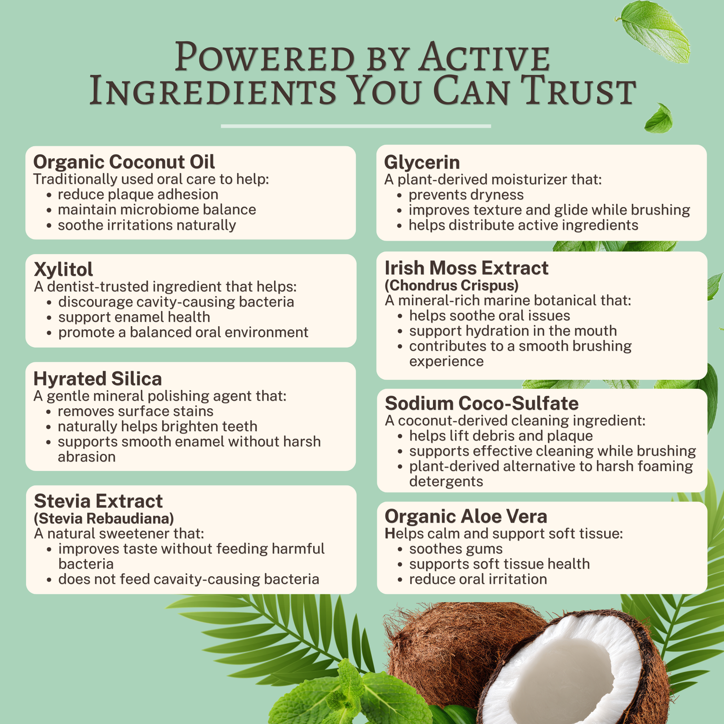 Dr. Gingers - Coconut Oil Toothpaste | Fluoride-Free | Sensitive Teeth