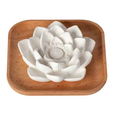 Plant Therapy - Lotus Passive Essential Oil Diffuser