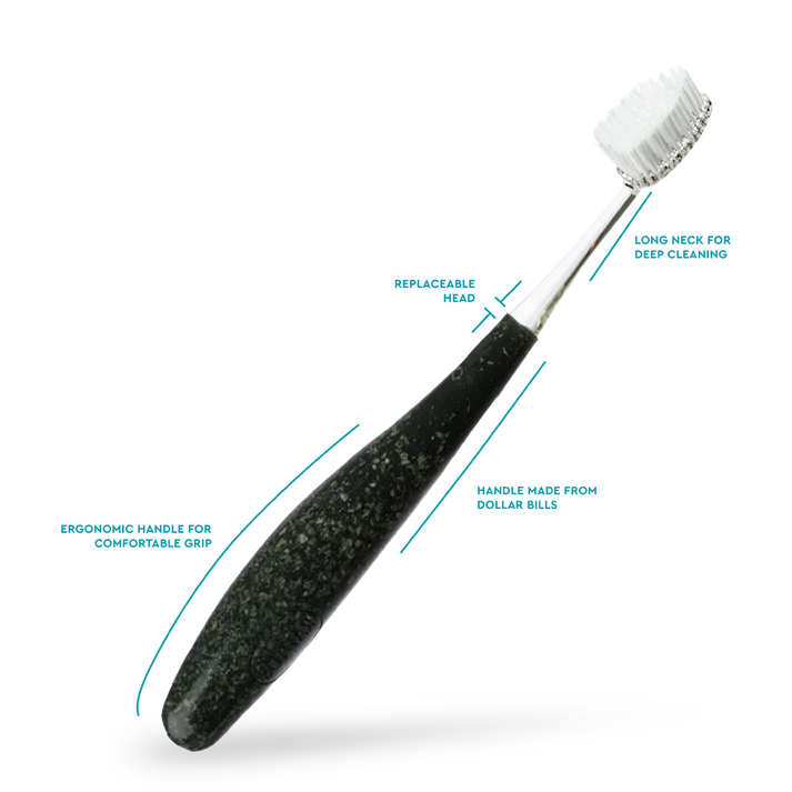 Source™ Replacement Head Toothbrush