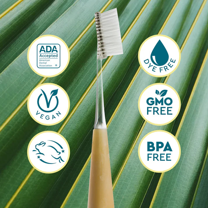 Source™ Replacement Head Toothbrush