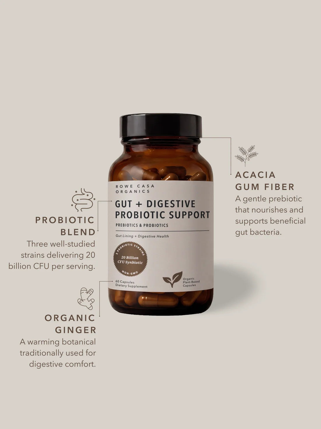 Rowe Casa Organics Gut + Digestive Probiotic Support | 60 Capsules