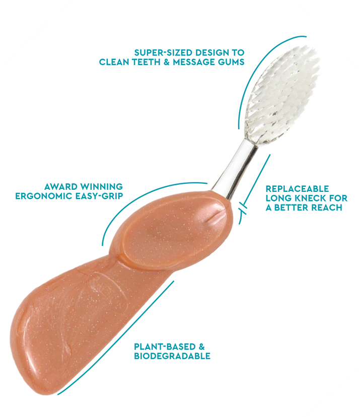 Big Brush with Replaceable Head – Big Head Toothbrush