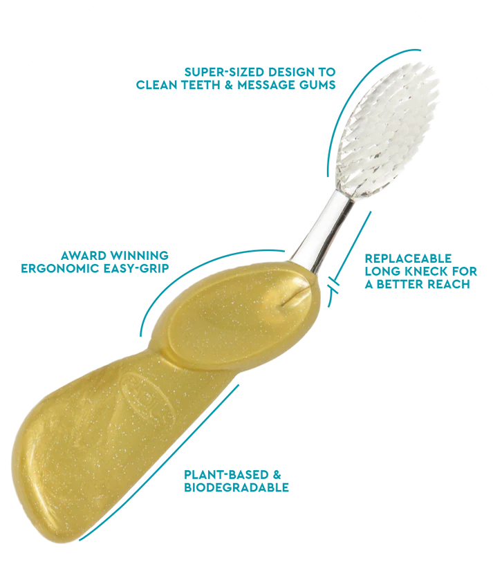 Big Brush with Replaceable Head – Big Head Toothbrush