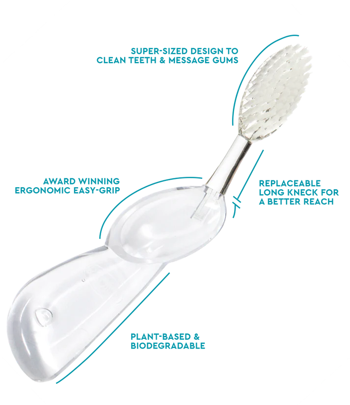 Big Brush with Replaceable Head – Big Head Toothbrush