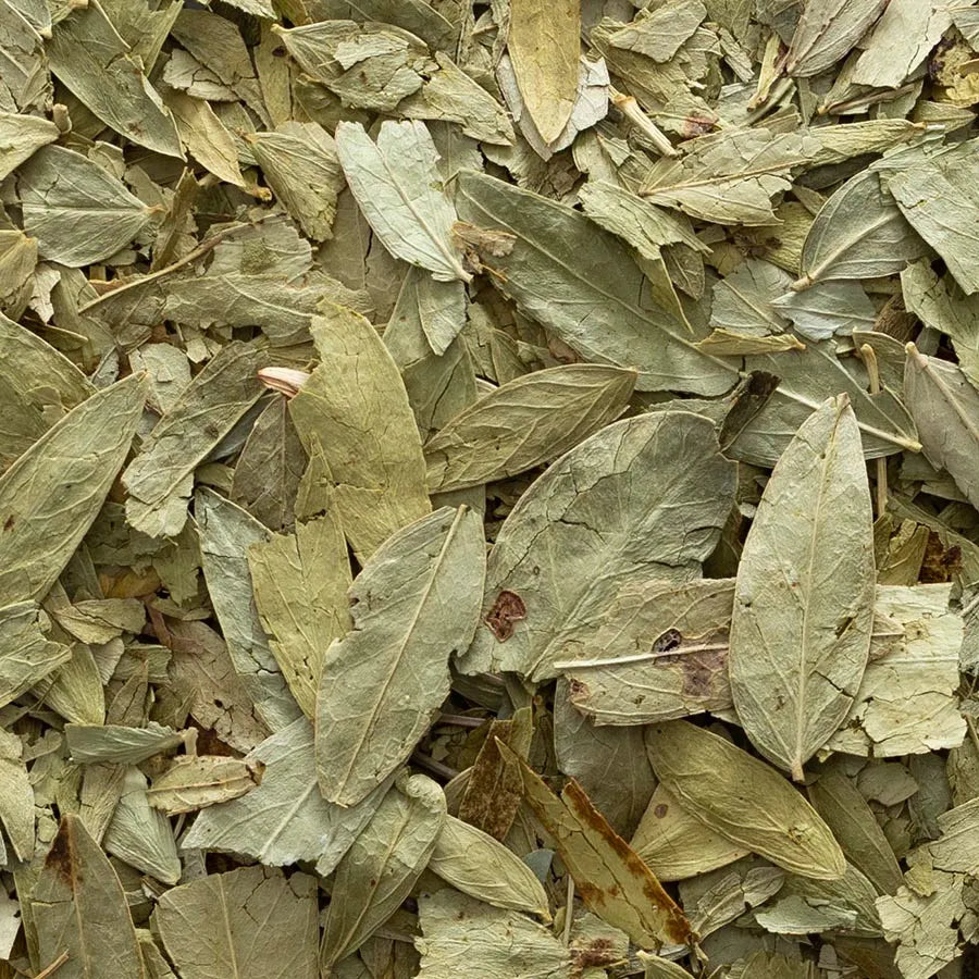 Frontier Co-op Senna Leaf, Whole