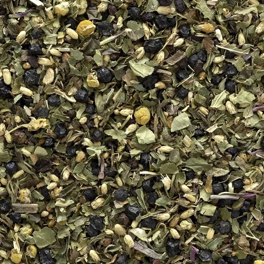 Frontier Co-op Elderberry Echinacea Wellness Tea, Organic