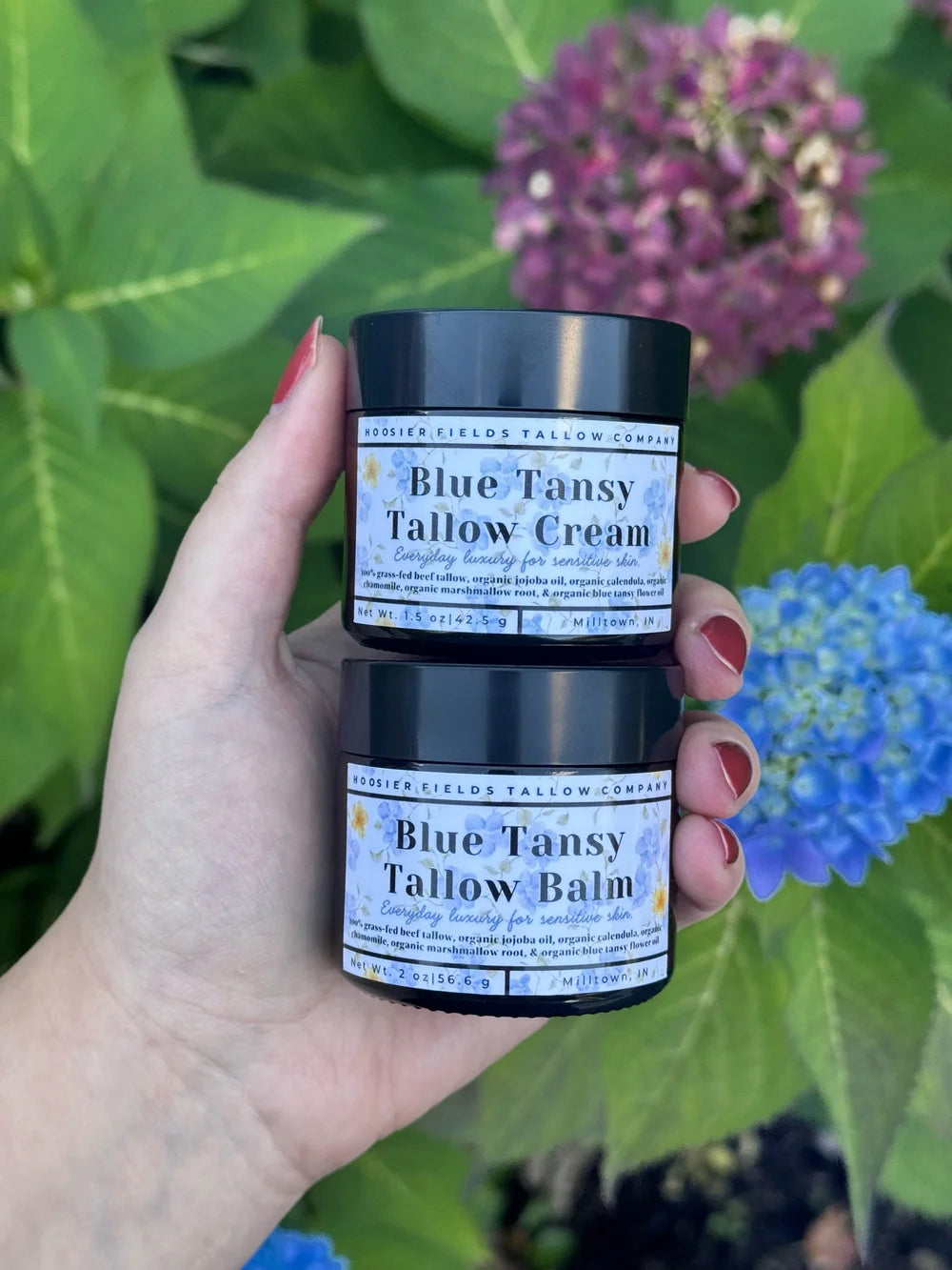 Blue Tansy Tallow
